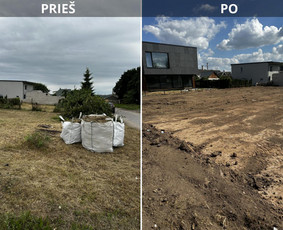 Apželdinimo darbai / ŽALTA / Darbų pavyzdys ID 4051141