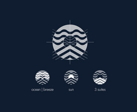 Logotipų kūrimas - Brendingas, svetainių dizainas ux/ui - 3