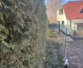 Sklypu sienavimas/apleistu sklypu tvarkymas / Artūras Kupčia / Darbų pavyzdys ID 4049299