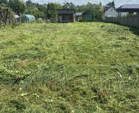Sklypu sienavimas/apleistu sklypu tvarkymas / Artūras Kupčia / Darbų pavyzdys ID 4049143