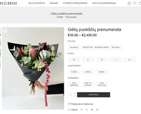 #1 Internetinių Svetainių ir Parduotuvių Kūrimas (seo/ads) / Svetainių kūrimas ir reklama / Darbų pavyzdys ID 4052179