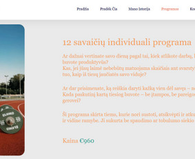 #1 Internetinių Svetainių ir Parduotuvių Kūrimas (seo/ads) / Svetainių kūrimas ir reklama / Darbų pavyzdys ID 4052183