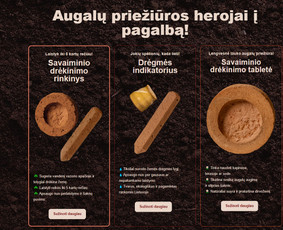 #1 Internetinių Svetainių ir Parduotuvių Kūrimas (seo/ads) / Svetainių kūrimas ir reklama / Darbų pavyzdys ID 4052195