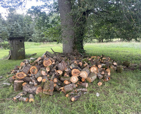 &Scaron;akų i&scaron;vežimas - Vyrai Sode &ndash; visi aplinkos tvarkymo darbai - 3