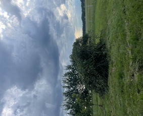 Visos aplinkos tvarkymo paslaugos žolės pjovimas, gyvatvorės - Šakų išvežimas - 1 Šakų išvežimas - Visos aplinkos tvarkymo paslaugos žolės pjovimas, gyvatvorės - 1