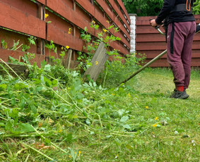 Visos aplinkos tvarkymo paslaugos žolės pjovimas, gyvatvorės - Apleistų sklypų tvarkymas - 4 Apleistų sklypų tvarkymas - Visos aplinkos tvarkymo paslaugos žolės pjovimas, gyvatvorės - 4