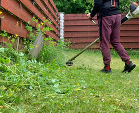 Visos aplinkos tvarkymo paslaugos žolės pjovimas, gyvatvorės - Apleistų sklypų tvarkymas - 3 Apleistų sklypų tvarkymas - Visos aplinkos tvarkymo paslaugos žolės pjovimas, gyvatvorės - 3