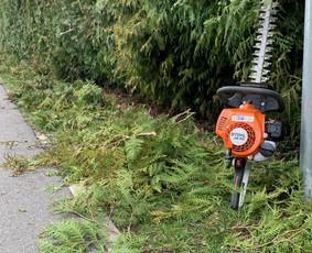 Visos aplinkos tvarkymo paslaugos žolės pjovimas, gyvatvorės - Gyvatvorių karpymas - 2 Gyvatvorių karpymas - Visos aplinkos tvarkymo paslaugos žolės pjovimas, gyvatvorės - 2