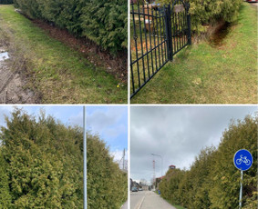 Visos aplinkos tvarkymo paslaugos žolės pjovimas, gyvatvorės - Gyvatvorių karpymas - 1 Gyvatvorių karpymas - Visos aplinkos tvarkymo paslaugos žolės pjovimas, gyvatvorės - 1
