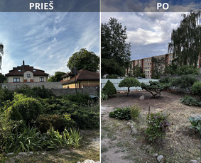 Apželdinimo darbai / ŽALTA / Darbų pavyzdys ID 4053319