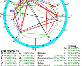 Individualios astrologinės konsultacijos / Ieva Adlytė / Darbų pavyzdys ID 4053585