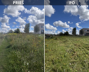 Žolės pjovimas - Zoles pjovimas/vejos pjovimas nedideliu plotu irengimas - 3