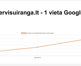 Internetas, IT - #1 Google Seo ir Google Maps Seo - 4