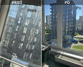 Buitinės paslaugos - Profesionalus patalpų valymas - 1