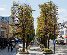 Ekskursijų rengimas po vietovę lietuvių kalba - Kaunas su ženklu S: ekskursijos po erotiškąją miesto pusę - 1