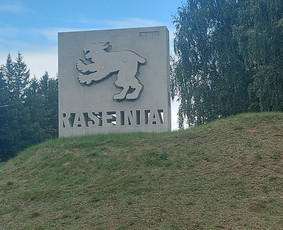 Keleivių pervežimo paslaugos lengvuoju automobiliu 24/7 / VYTASIUS.LT / Darbų pavyzdys ID 4055061
