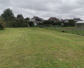 Statybos, apdaila - Žolės Pjovimas Su Trimeriu Ir Žoliapjove - 4