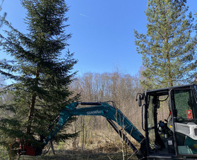 4t. Mini ekskavatoriaus nuoma su operatoriumi / MB Environfix / Darbų pavyzdys ID 4056007