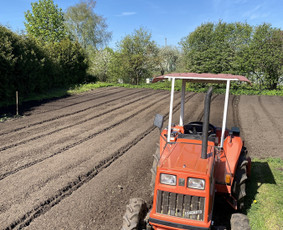 4t. Mini ekskavatoriaus nuoma su operatoriumi / MB Environfix / Darbų pavyzdys ID 4056023