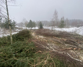 4t. Mini ekskavatoriaus nuoma su operatoriumi / MB Environfix / Darbų pavyzdys ID 4056037