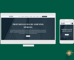 Svetainių, El. parduotuvių, Seo, logotipo ir reklamų kūrimas / Tautvydas Zaurynas / Darbų pavyzdys ID 4056341