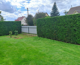 Gyvatvorių karpymas, vaismedžių genėjimas / Vytautas R. / Darbų pavyzdys ID 4056985