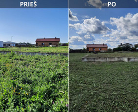 Pjovimas trimeriu žoliapjove tręšimas piktž. naikinimas t.t - Pievų šienavimas - 2 Pievų šienavimas - Pjovimas trimeriu žoliapjove tręšimas piktž. naikinimas t.t - 2