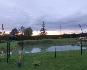 Tuju,gyvatvoriu karpymas,žeminimas,formavimas / Vitalijus Juodaitis / Darbų pavyzdys ID 4058031