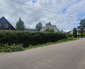 Tuju,gyvatvoriu karpymas,žeminimas,formavimas / Vitalijus Juodaitis / Darbų pavyzdys ID 4058035