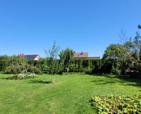 Tuju,gyvatvoriu karpymas,žeminimas,formavimas / Vitalijus Juodaitis / Darbų pavyzdys ID 4058039