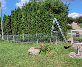Tuju,gyvatvoriu karpymas,žeminimas,formavimas / Vitalijus Juodaitis / Darbų pavyzdys ID 4058045