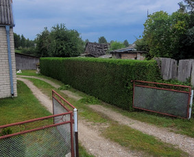 Tuju,gyvatvoriu karpymas,žeminimas,formavimas / Vitalijus Juodaitis / Darbų pavyzdys ID 4058043