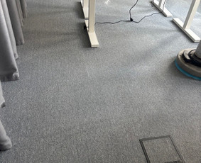 Komercinių patalpų valymas - Langų valymas/ Kilimų/ Sandėlių/ Kiemų/ Ofisų valymas - 3