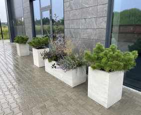 Aplinkos tvarkymas, apželdinimas - Kra&scaron;tovaizdžio architektūra - 2