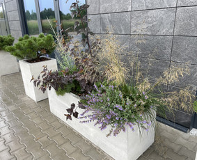 Aplinkos tvarkymas, apželdinimas - Kra&scaron;tovaizdžio architektūra - 1