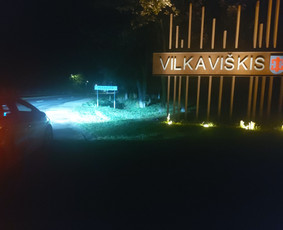 Keleivių pervežimo paslaugos lengvuoju automobiliu 24/7 / VYTASIUS.LT / Darbų pavyzdys ID 4058765