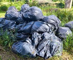Pigiausias atliekų, šiukšlių išvežimas perkraustymo griovimo - Aplinkos tvarkymas, apželdinimas - 3 Aplinkos tvarkymas, apželdinimas - Pigiausias atliekų, šiukšlių išvežimas perkraustymo griovimo - 3