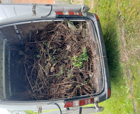Pigiausias atliekų, šiukšlių išvežimas perkraustymo griovimo - Aplinkos tvarkymas, apželdinimas - 2 Aplinkos tvarkymas, apželdinimas - Pigiausias atliekų, šiukšlių išvežimas perkraustymo griovimo - 2