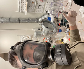 Juvelyrai, juvelyriniai dirbiniai - Papuošalų auksavimas ir rodžiavimas - 1