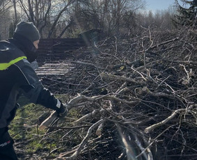 Smulkūs buities, statybų darbai Klaipėdos. R - Pagalbiniai darbininkai - 3 Pagalbiniai darbininkai - Smulkūs buities, statybų darbai Klaipėdos. R - 3