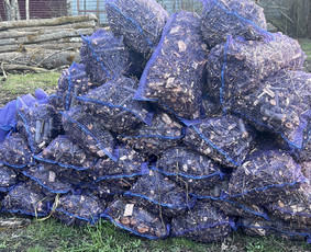 Smulkūs buities, statybų darbai Klaipėdos. R - Pagalbiniai darbininkai - 4 Pagalbiniai darbininkai - Smulkūs buities, statybų darbai Klaipėdos. R - 4