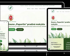 Profesionalių interneto svetainių kūrimo paslaugos - Interneto svetainių kūrimas - 3 Interneto svetainių kūrimas - Profesionalių interneto svetainių kūrimo paslaugos - 3