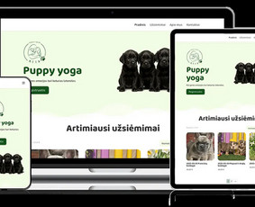 Profesionalių interneto svetainių kūrimo paslaugos - Interneto svetainių kūrimas - 2 Interneto svetainių kūrimas - Profesionalių interneto svetainių kūrimo paslaugos - 2