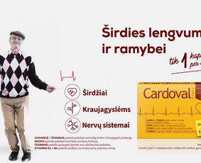 Garstyčia - Marketingo krypties vadovė / Gabija Bakane / Darbų pavyzdys ID 4060915