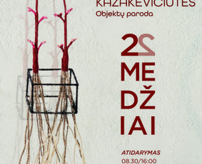 Grafikos dizaino paslaugos - Plakatų maketavimas - 1 Plakatų maketavimas - Grafikos dizaino paslaugos - 1