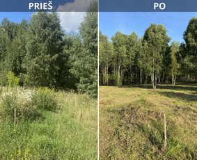 Tradiciniai amatai - Sklypų tvarkymas: medžių, krūmų, žolės pjovimas. - 4