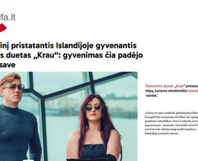 Profesionalus redagavimas - Paslaugos verslui - 3 Paslaugos verslui - Profesionalus redagavimas - 3