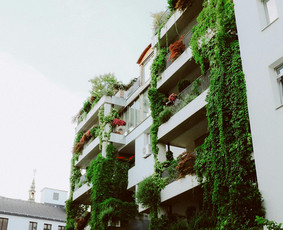 Teikiu namo Bendrijos Pirmininko paslaugas - Kitos kategorijos - 1 Kitos kategorijos - Teikiu namo Bendrijos Pirmininko paslaugas - 1