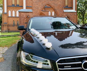 Automobilių nuoma - J&t auto vestuvėms - 1