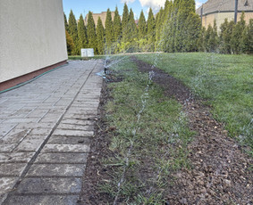 Vejos įrengimas ir laistymo sistemos - Kiemo, aplinkos apželdinimas - 3 Kiemo, aplinkos apželdinimas - Vejos įrengimas ir laistymo sistemos - 3
